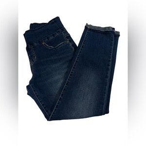 Jag Jeans High Rise Slim Ankle Pull On Denim Blue Sculpting Comfort Size 4P